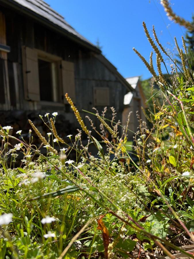 Chalet Velika Planina - I Feel Alps Stahovica Bagian luar foto